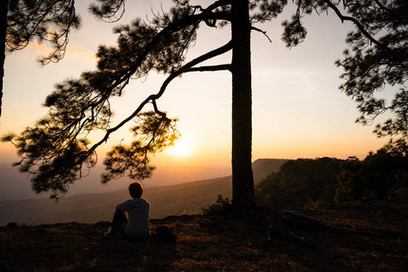 s silhouette surrounded by pine trees  Phu kradueng Thailand 