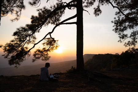 s silhouette surrounded by pine trees  Phu kradueng Thailand 