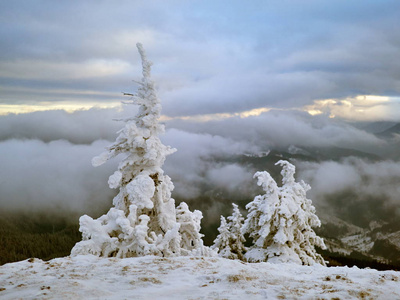 冬天的风景，树木和山脉覆盖着雪和霜