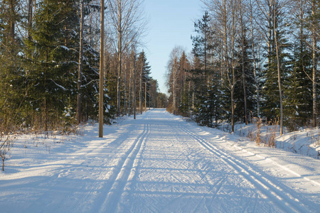 芬兰冬季森林滑雪道。