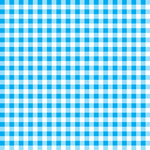 纹理蓝色和白色格子背景.桌布背景蓝色无缝图案.纺织品的图案.