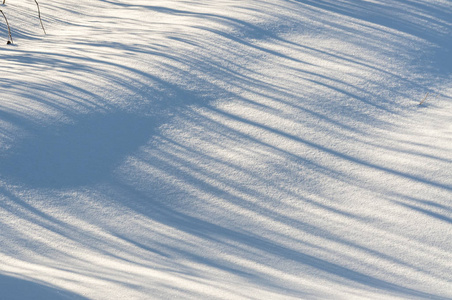 新鲜的雪堆被阳光照亮，蓝色的波浪阴影