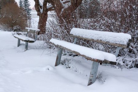 公园里的长凳上覆盖着雪。