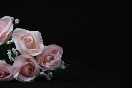 黑色背景上粉红色玫瑰的照片。 情人节收藏