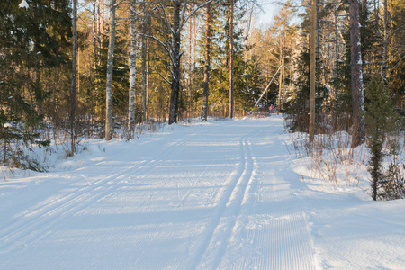 芬兰冬季森林滑雪道。