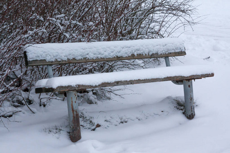 公园里的长凳上覆盖着雪。