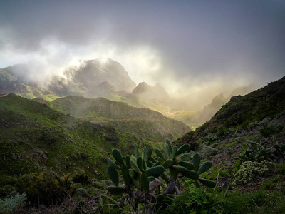 西班牙风景谷。自然景观。旅行冒险和户外。金丝雀island.tenerife.scenic山景。仙人掌植被和日落全景在特内里费