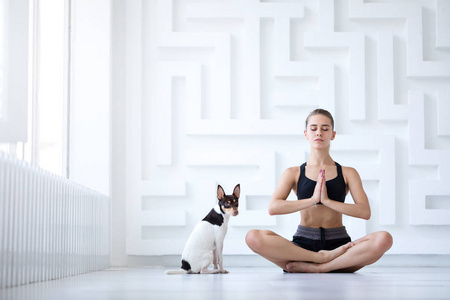 s yoga. Young beautiful girl in lotus position with her pet at h