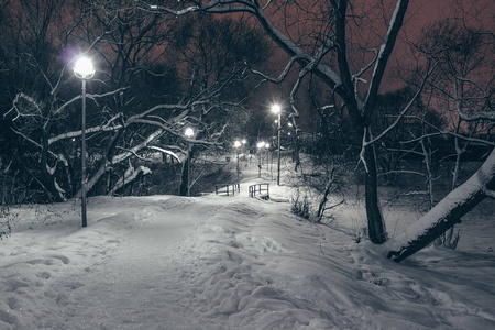 冬天的自然景观在晚上用发光的灯笼和道路进入远处覆盖着雪照片