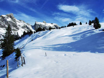 瑞士圣加伦州阿尔维耶山脉上的第一场雪