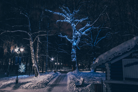 冬天的自然景观在晚上用发光的灯笼和道路进入远处覆盖着雪照片
