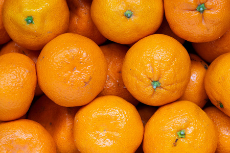 橙色背景很多橘子图片