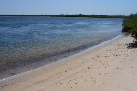 沙鲁姆河沙质海岸阳光明媚