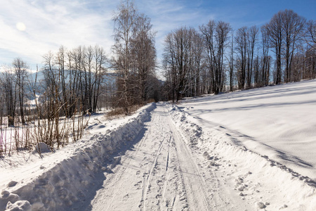 冬天的路延伸到远处，白雪覆盖了森林