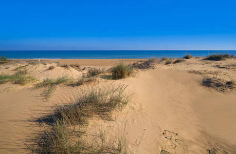 西班牙阿利坎特的埃勒克斯埃莱奇的埃尔卡拉巴西海滩沙丘，在科斯塔布兰卡也是卡拉巴西