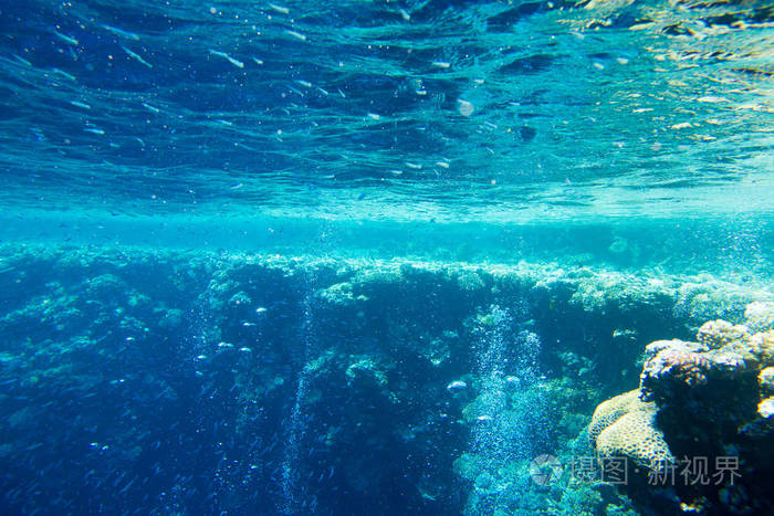 宁静的水下场景与复制空间