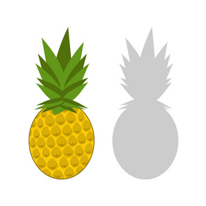 菠萝的向量例证果子