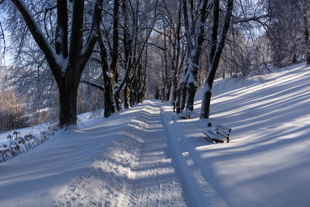 冬天的路延伸到远处，白雪覆盖了森林