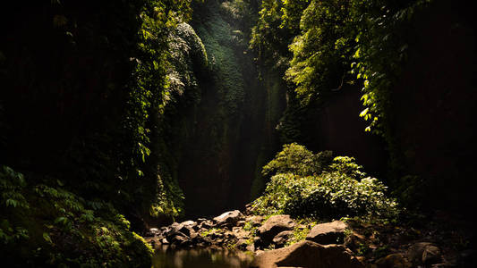 在亚洲的丛林里的河流