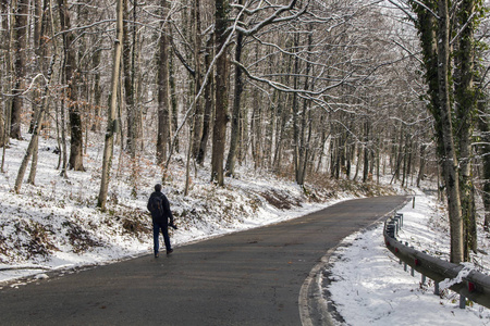 在冬季森林里, 拿着照片摄像头走在路上的男子