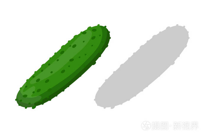 黄瓜蔬菜矢量图插画-正版商用图片17hwka-摄图新视界