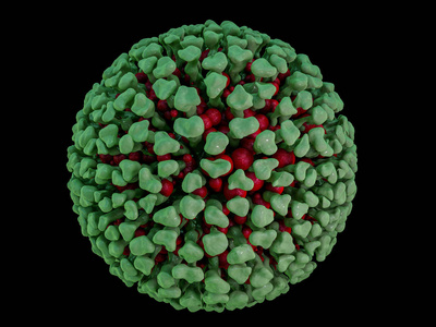 病毒或细菌细胞的特写..3D绘制