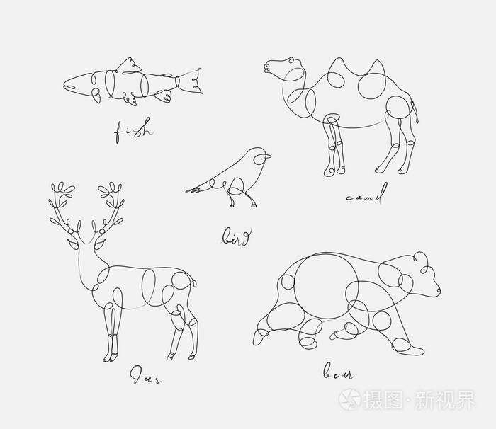 一套动物鱼骆驼鸟和熊用笔线画在浅色背景上