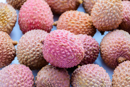  Litchi chinensis is the sole member of the genus Litchi in the