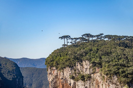 伊泰姆贝齐尼奥峡谷在塞拉国家公园，坎巴拉，杜鲁里奥，古德，巴西。