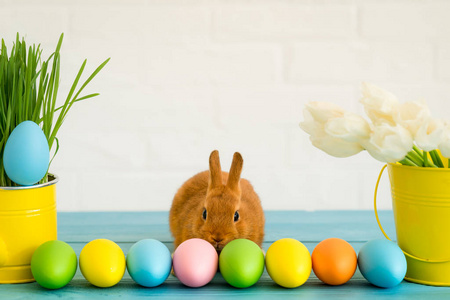 复活节兔子和一篮子鸡蛋。 春假概念
