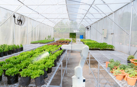 智能机器人农民收获农业未来机器人自动化工作技术提高效率