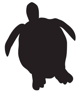 白色背景上分离的海龟的矢量插图。