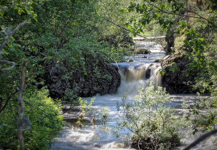 绿色的夏天的树围绕着溪流中流动的水.照片