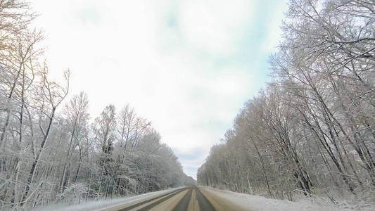 冬天的乡间小路上有着白雪皑皑的树林