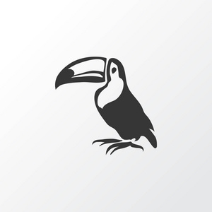 图坎图标符号。优质隔离热带鸟类元素，时尚风格。