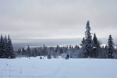 Zyuratkul国家公园的冬季森林。苏拉特库尔湖冬季雪景