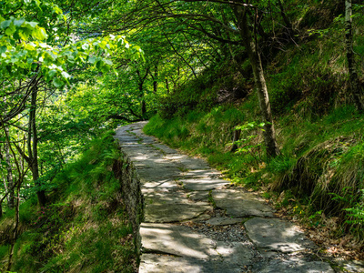 登山步道意大利皮埃蒙特瓦尔格兰德国家公园徒步旅行步道景观照片