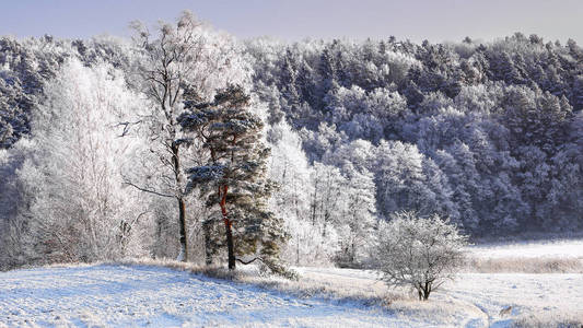 一个寒冷多雪的冬天在波兰的温暖
