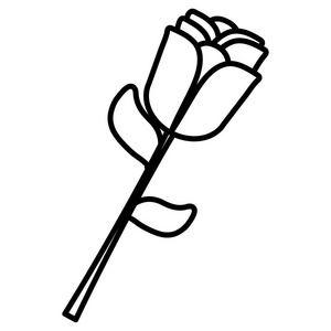 美丽的玫瑰花装饰图标