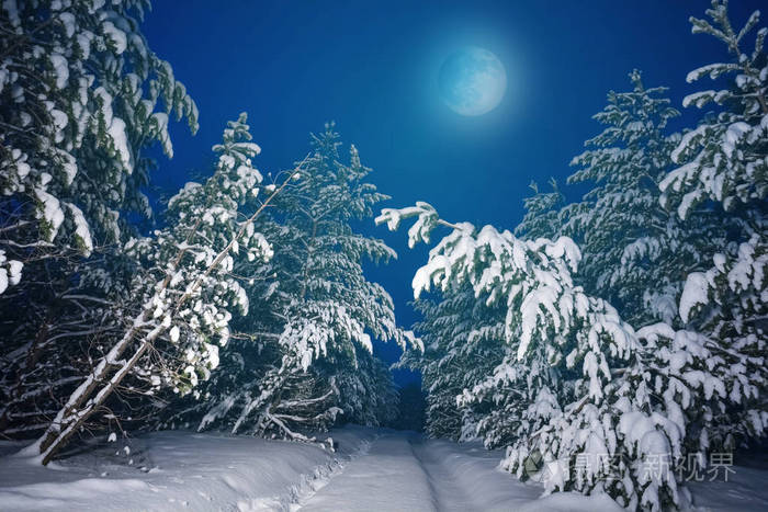 月圆在松林之上,在白雪皑皑的冬夜里