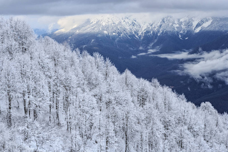 壁纸桌面亚丝娜冬季白雪皑皑的白种人山林,山峰美丽的风景,俄罗斯喀斯