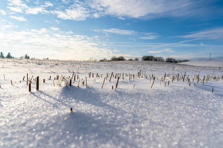 阳光明媚的冬日，空旷的乡村景观，积雪覆盖地面，抽象的背景，深刻的视觉概念，乐趣和快乐