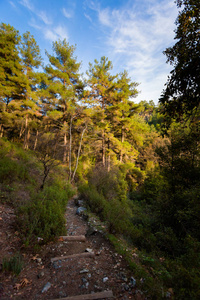 在徒步旅行期间，美丽的徒步旅行小径到Millomeris瀑布。 塞浦路斯岛上的特洛伊多斯山脉的景观。