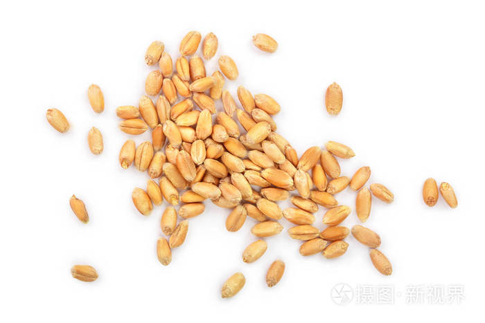 小麦籽粒分离在白色背景上顶视图