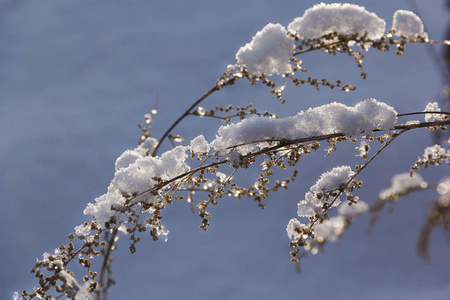 冬天的雪背景。 雪质地