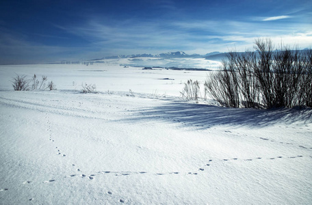 山地背景下的季节性景观雪草地