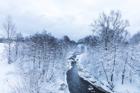 在美丽的冬林或公园里的小河或小溪的景观，在雪冰和吼声下的树木之间