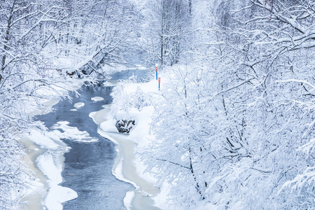 在美丽的冬林或公园里的小河或小溪的景观，在雪冰和吼声下的树木之间