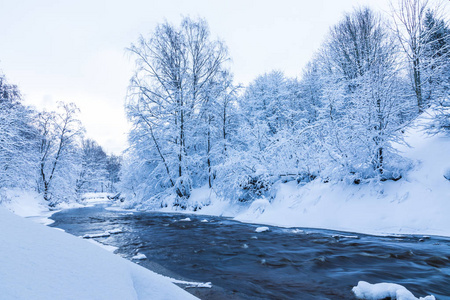 在美丽的冬林或公园里的小河或小溪的景观,在雪,冰和吼声下的树木之间