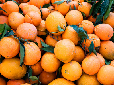 来自有机栽培的橙子的美丽背景。 平展视野
